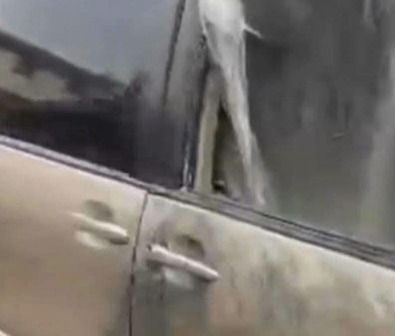 A suspected improvised explosive device (IED) planted beneath a vehicle exploded at the Shoe Materials Market in Mushin, Lagos, injuring one person and triggering a police investigation.